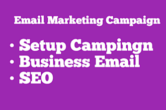 do professional email marketing campaign expert