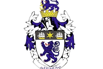 draw modern heraldic family crest coat of arms logo in 24 h
