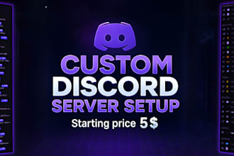 create a clean and professional discord server for you