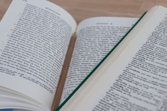 translate spanish german to english