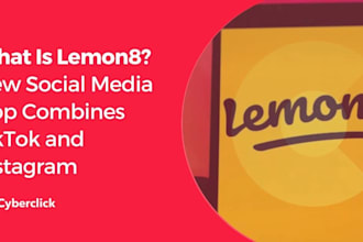 grow and manage your lemon8 account for maximum engagement
