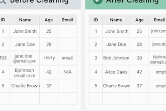 do data cleaning and data annotation
