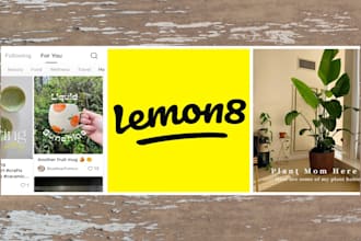 promote your lemon8 account to boost engagement