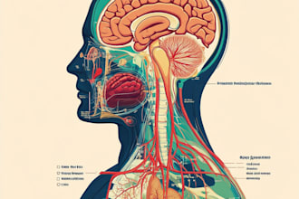 do anatomy, medical and scientific illustrations and diagrams