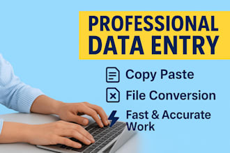 do accurate data entry and file conversion
