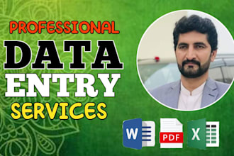 do excel data entry, copy paste, typing, data entry