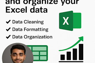 clean, organize, and format your excel data professionally