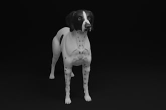 make 3d animal model 3d dog model 3d creature 3d dinosaur 3d dragon modeling bjd