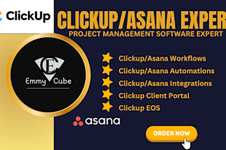 be your clickup expert and asana expert to set up clickup and asana for teams