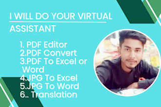 do your pdf edting, any convert, english and chinese translation