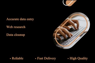 do accurate data entry, web research and excel data cleanup