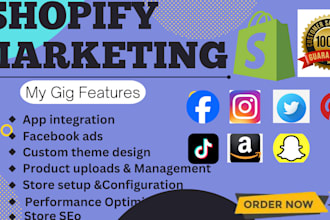 shopify store setup  customization and build your dream e commerce website