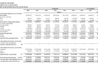 create financial statements, reports and forecasts