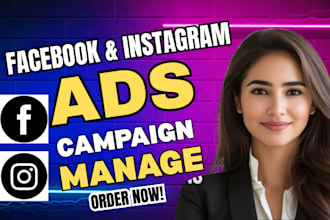 setup and manage targeted facebook instagram meta ads campaign pixel integration