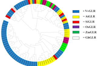 assist in molecular biology and bioinformatic analysis