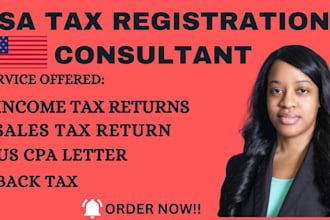 efile or prepare USA tax filings efile business income tax return do back tax