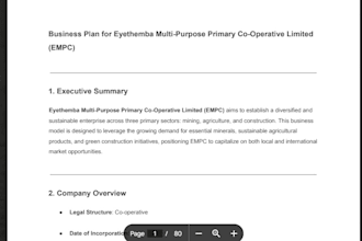 create professional business plans, profiles, financial projections, and
