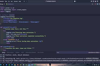 professional  data engineering and websites
