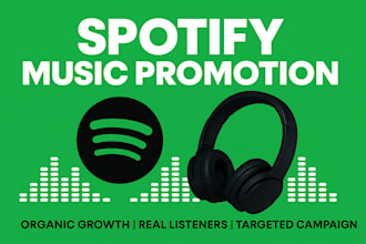 promote your music with a targeted spotify ads campaign and real streams