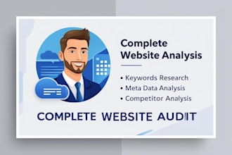 do complete website audit