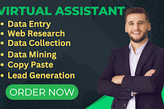 do data entry, web research, convert pdf to word expert