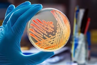 do microbiology, anatomy, genetics, nursing, physiology