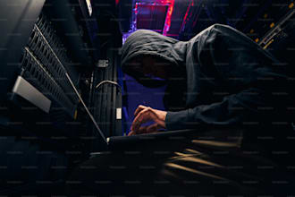 fix your website security holes, pentest and report