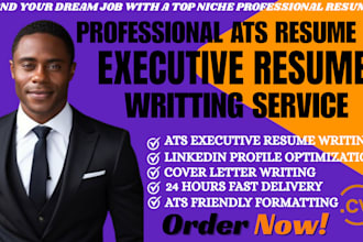 craft a compelling, executive level resume for senior leadership roles director