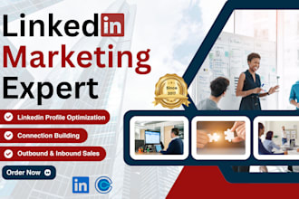 be your linkedin marketing strategist and b2b appointment setter