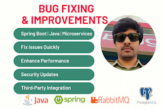 fix bugs and optimize your spring boot or java application