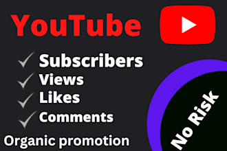 do organic video promotion to complete youtube channel monetization