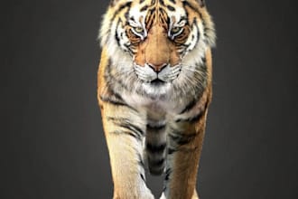 detailed animal 3d model, fur, xgen, hair, realistic texture, rig, 3d animation