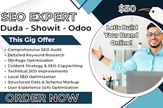optimize SEO on showit, duda, odoo or other website building for google ranking