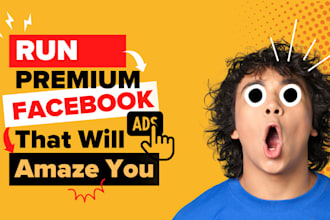 manage premium facebook ads for kickstarter, indiegogo crowdfunding campaign