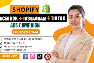 setup and manage shopify facebook ads and instagram ads