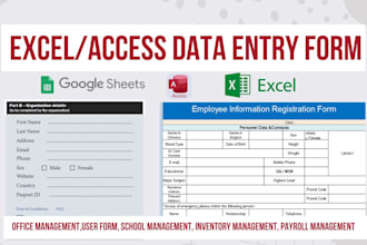 create professional database and form on excel or google sheet or access
