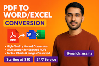 convert PDF to editable word or excel manually with accuracy