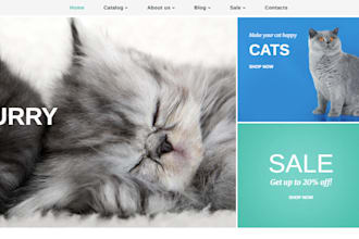create a profitable dog shopify store pet ecommerce store pet dropshipping store