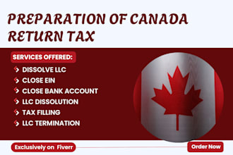 do canada individual tax, t1 and t2 corporate tax, tax return income tax CPA tax