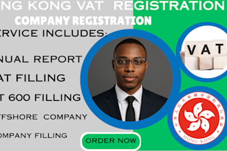 do hong kong company registration in hk ct600 filling vat  registration
