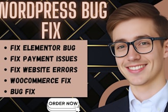 fix wordpress bugs, elementor bug fix, errors, issues, provide website support