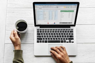 do professional wordpress data entry