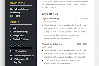 design a professional and modern resume or CV