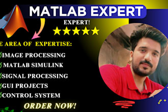 do matlab, simulink, vbscript programming, image and gui projects