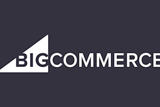 big commerce store setup data analysis reporting