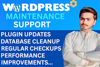 do wordpress website maintenance, security support or help