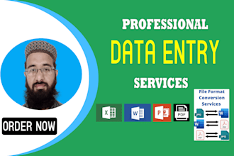 data entry, web research, convert pdf to word, ms, excel data entry