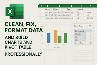fix, clean, format excel data, can do charts and pivot table