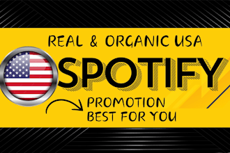 do your spotify music promotion by targeted ads with SEO