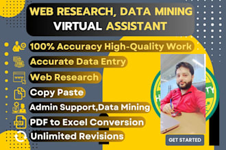 do virtual assistant, web searcher, ms office, typing work